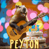 Animated birthday GIF showing a capybara playing guitar and singing beside a birthday cake with the name Peyton in large letters and colorful bokeh lights in the background.