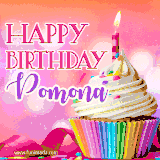 A vibrant birthday GIF featuring a rainbow-colored cupcake topped with white frosting, sprinkles, and a lit candle. The text reads 'Happy Birthday Pomona' in bold pink and violet letters with white outline.