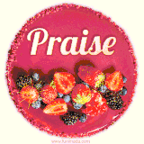 Beautifully decorated red velvet berry birthday cake with vibrant fruits and a glowing 'Praise' name, adding a touch of sweetness and sparkle.