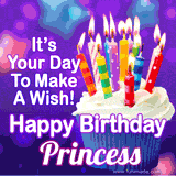 A colorful birthday GIF for Princess featuring a cupcake with vibrant lit candles and the text 'It's Your Day to Make a Wish! Happy Birthday Princess' in bold letters on a festive purple background.