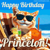 A cheerful cat wearing sunglasses, enjoying drinks on a sunny beach chair, with the text 'Happy Birthday Princeton!' in bright letters.