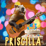 Animated birthday GIF showing a capybara playing guitar and singing beside a birthday cake with the name Priscilla in large letters and colorful bokeh lights in the background.