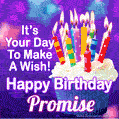 It's Your Day To Make A Wish! Happy Birthday Promise!