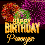 A golden 'Happy Birthday Promyse' message with vibrant fireworks in the background, creating a festive and celebratory vibe in this animated name GIF.
