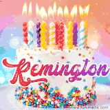 A cheerful cat wearing sunglasses, enjoying drinks on a sunny beach chair, with the text 'Happy Birthday Remington!' in bright letters.