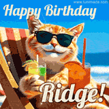 A cheerful cat wearing sunglasses, enjoying drinks on a sunny beach chair, with the text 'Happy Birthday Ridge!' in bright letters.