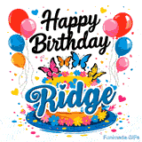 Close-up of a decorative white drip cake with the name Ridge and bright butterflies, featured on an animated card.
