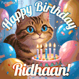 A playful tabby cat sits behind a colorful birthday cake surrounded by balloons and confetti, with 'Happy Birthday Ridhaan!' written above in festive letters.