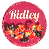 Beautifully decorated red velvet berry birthday cake with vibrant fruits and a glowing 'Ridley' name, adding a touch of sweetness and sparkle.