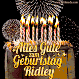 A chocolate birthday cake with glowing candles, the German text 'Alles Gute zum Geburtstag Ridley,' and vibrant fireworks lighting up the background in an animated GIF.