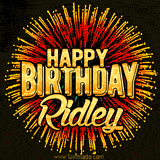 Golden 'Happy Birthday Ridley' text accompanied by animated rainbow fireworks for a festive animated greeting.