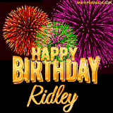 A golden 'Happy Birthday Ridley' message with vibrant fireworks in the background, creating a festive and celebratory vibe in this animated name GIF.