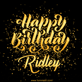 Animated GIF with colorful, festive 'Happy Birthday Ridley' text decorated with patterns, a party hat, and falling confetti. A vibrant and cheerful design for birthday celebrations.