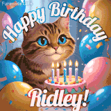 A playful tabby cat sits behind a colorful birthday cake surrounded by balloons and confetti, with 'Happy Birthday Ridley!' written above in festive letters.