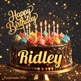 Multicolored frosting swirls and burning birthday candles on a chocolate cake with gold lettering spelling Ridley.