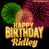 A captivating GIF with bursts of green, pink, and orange fireworks lighting up the night sky, accompanied by 'Happy Birthday Ridley' in glowing golden text.