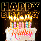 A vibrant animated GIF featuring a delicious birthday cake topped with glowing candles and the name 'Ridley' in elegant script, and the words 'Happy Birthday' on the black background.