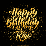 Animated GIF with colorful, festive 'Happy Birthday Rigo' text decorated with patterns, a party hat, and falling confetti. A vibrant and cheerful design for birthday celebrations.