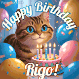 A playful tabby cat sits behind a colorful birthday cake surrounded by balloons and confetti, with 'Happy Birthday Rigo!' written above in festive letters.