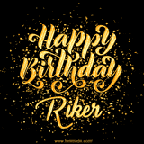 Animated GIF with colorful, festive 'Happy Birthday Riker' text decorated with patterns, a party hat, and falling confetti. A vibrant and cheerful design for birthday celebrations.