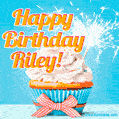 Happy Birthday, Riley! Elegant cupcake with a sparkler.