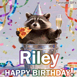 A humorous and festive Birthday GIF for Riley. The raccoon enjoys a feast in a bin, adding a touch of comedy to the special wish with vibrant decorations.