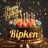 Golden lettering spelling Ripken on a rich chocolate birthday cake decorated with rainbow sprinkles.
