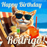 A cheerful cat wearing sunglasses, enjoying drinks on a sunny beach chair, with the text 'Happy Birthday Rodrigo!' in bright letters.