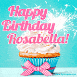 A festive cupcake with pink icing, a gingham bow, and a lit animated sparkler, paired with 'Happy Birthday Rosabella!' in bright pink text.