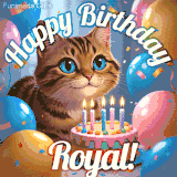 A playful tabby cat sits behind a colorful birthday cake surrounded by balloons and confetti, with 'Happy Birthday Royal!' written above in festive letters.