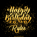 Animated GIF with colorful, festive 'Happy Birthday Rylee' text decorated with patterns, a party hat, and falling confetti. A vibrant and cheerful design for birthday celebrations.