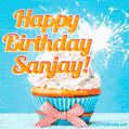 Happy Birthday, Sanjay! Elegant cupcake with a sparkler.