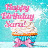 A festive cupcake with pink icing, a gingham bow, and a lit animated sparkler, paired with 'Happy Birthday Sara!' in bright pink text.