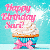 A festive cupcake with pink icing, a gingham bow, and a lit animated sparkler, paired with 'Happy Birthday Sari!' in bright pink text.