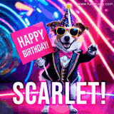 Animated GIF of a cool dog wearing a suit and sunglasses, holding a 'Happy Birthday' sign for Scarlet, set against a bright and colorful neon party background.