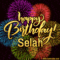Happy Birthday, Selah! Celebrate with joy, colorful fireworks, and unforgettable moments. Cheers!