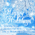 Happy Holidays 2021. Wishing you a wonderful holiday season and a happy new year 2022.
