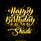 Animated GIF with colorful, festive 'Happy Birthday Shadi' text decorated with patterns, a party hat, and falling confetti. A vibrant and cheerful design for birthday celebrations.