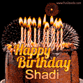 A rich chocolate cake topped with glowing birthday candles and surrounded by bright fireworks. The animated GIF displays the message 'Happy Birthday Shadi' in golden text.