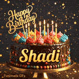 Bold golden lettering spelling Shadi on a gourmet chocolate cake decorated with small colorful candies at the base.