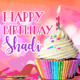 A vibrant birthday GIF featuring a rainbow-colored cupcake topped with white frosting, sprinkles, and a lit candle. The text reads 'Happy Birthday Shadi' in bold pink and violet letters with white outline.