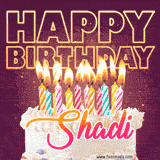 A colorful birthday cake topped with lit candles, with the words 'Happy Birthday Shadi' in bold glowing letters on a burgundy background. Animated flames add a festive touch.
