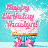 A festive cupcake with pink icing, a gingham bow, and a lit animated sparkler, paired with 'Happy Birthday Shaelyn!' in bright pink text.
