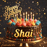 Rich chocolate cake decorated with sprinkles, colorful icing, lit candles, and the name Shai in bold golden script.