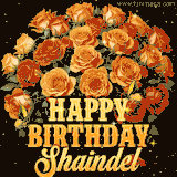 Animated bouquet of orange roses with moving butterfles and golden 'Happy Birthday Shaindel' text, surrounded by sparkling accents and a dark backdrop for a luxurious feel.