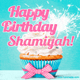 A festive cupcake with pink icing, a gingham bow, and a lit animated sparkler, paired with 'Happy Birthday Shamiyah!' in bright pink text.