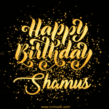 Animated GIF with colorful, festive 'Happy Birthday Shamus' text decorated with patterns, a party hat, and falling confetti. A vibrant and cheerful design for birthday celebrations.