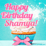 A festive cupcake with pink icing, a gingham bow, and a lit animated sparkler, paired with 'Happy Birthday Shamya!' in bright pink text.