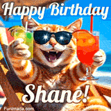 A cheerful cat wearing sunglasses, enjoying drinks on a sunny beach chair, with the text 'Happy Birthday Shane!' in bright letters.