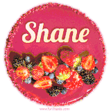 Beautifully decorated red velvet berry birthday cake with vibrant fruits and a glowing 'Shane' name, adding a touch of sweetness and sparkle.